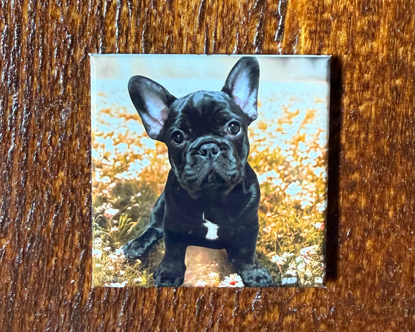 Custom 2x2 Photo Magnet