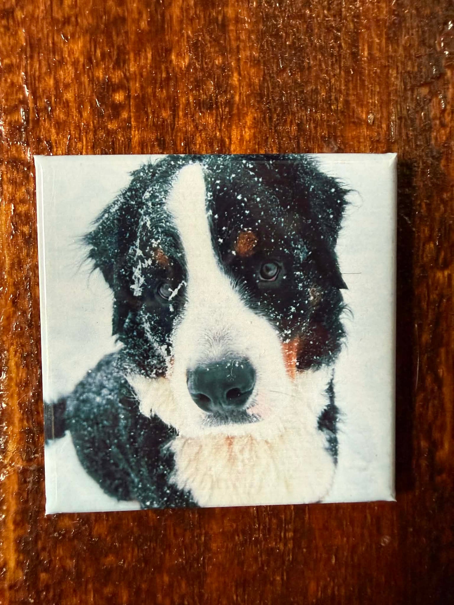 Custom 2x2 Photo Magnet