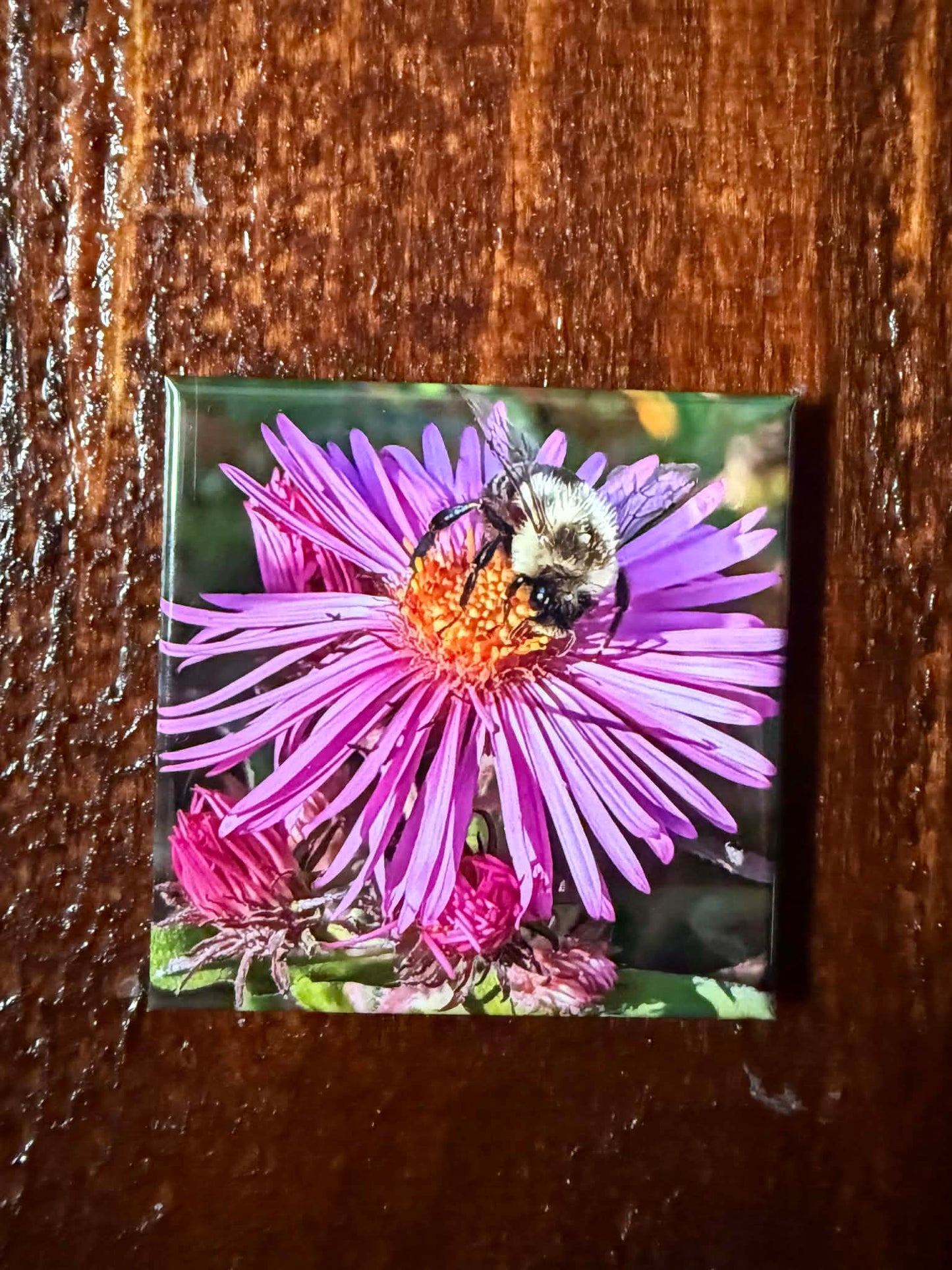 Custom 2x2 Photo Magnet