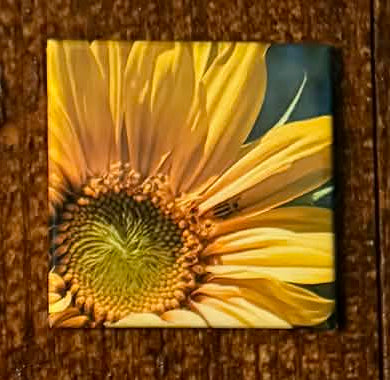 Custom 2x2 Photo Magnet