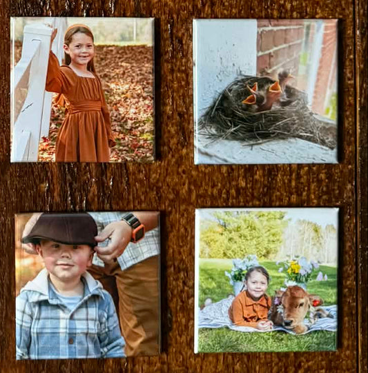 Customized Photo Magnets (Set of 4)